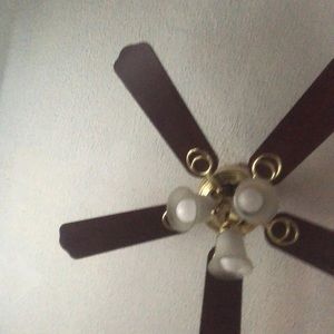 Meet your Posher, Juli